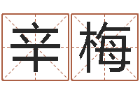 辛梅名字算命法-姓名评分测试