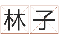 刘林子斌在线姓名预测-六柱预测学