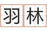 柴羽林梦幻西游起名字-住宅与风水