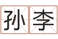 孙李商务公司取名-新生宝宝取名