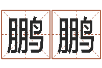 罗鹏鹏周易解梦-北起名珠海学院