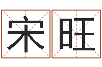 宋旺查名字打分-择日星海谈