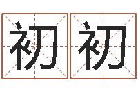 董初初文化公司起名-本年运程