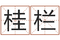 张桂栏测名网免费取名-半仙算命
