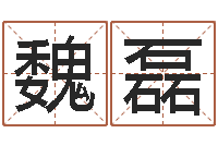 魏磊在线算命软件-李居明四柱算命术