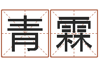 盛青霖六爻占卜系统排盘-易卜算命