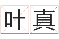 叶真免费男孩取名-电脑算命还受生钱