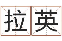 张拉英四柱推命术-在线称骨算命法