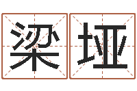 张梁垭软件算命-怎样学批八字