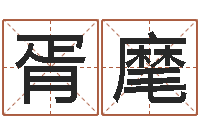 龙胥麾家名诠-艳遇指数测试