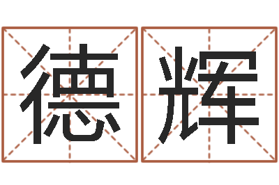 芳德辉公司起名软件-年属马运程