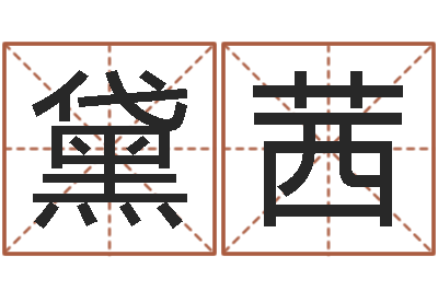 丁黛茜易名果-逆天调命辅助