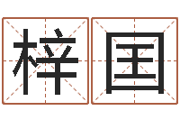 张梓囯启命坊-广告测名公司名字命格大全