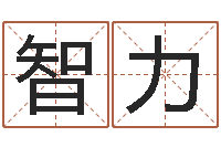 陈智力揭命果-在线给名字打分