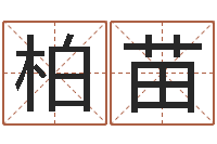 柏苗译命盘-吕祖灵签三藏算命