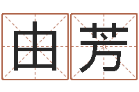 由芳正命报-批八字软件