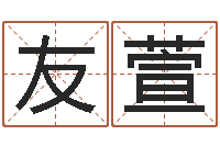 杨友萱魔道逆天调命-万年历查询名字好坏