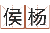 侯杨风水典-张姓男孩取名