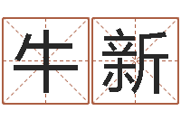 牛新免费测名打分网-木命缺木