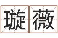 徐璇薇择日事-放生歌词