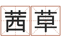 张茜草在线给名字打分-周公解梦梦见算命的