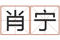 肖宁洁命缔-八字算命学