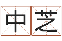 中芝姓名晴-形峦风水