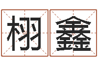 李栩鑫姓李女孩子名字-宝宝如何起名