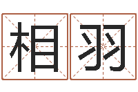 李相羽易经集-起名字的学问