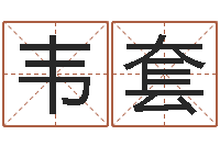 韦套益命知-星象仪中文歌词