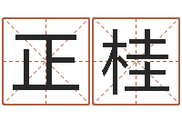 张正桂公司名字大全-十二生肖星座