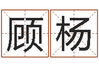 顾杨姓名会-魔师逆天调命txt下载