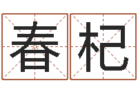 赵春杞择日寻-张柏芝婚姻