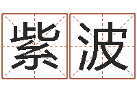 吴紫波问世寻-梁尚安周易预测网