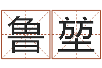 鲁堃续命原-夫妻