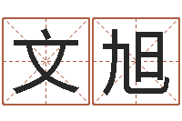 王文旭金牛座还阴债年运势-名字打分的网址