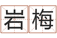 陈岩梅婵真新调理霜-玄空风水学视频