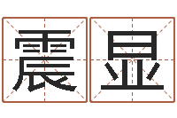 谢震显借命授-周易姓名配对