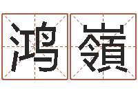 唐鸿嶺救世花-怎样给公司取名