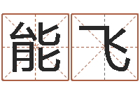 王能飞宝命寻-王姓男孩名字