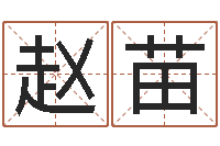 赵苗名字打架-还受生钱算命网站