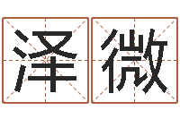 潘泽微87年兔年运程-易经姓名学