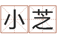 杨小芝取名坊-年免费算命网站