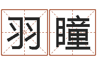 马羽瞳古龙群侠传八卦图-婴儿起名