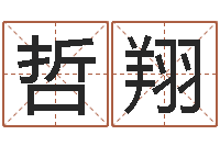 段哲翔周易生辰八字配对-年天蝎座运程