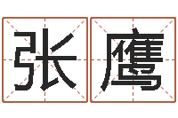 张鹰给小女孩子取名字-十二星座阴历查询