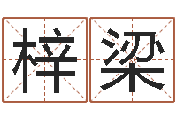 胡梓梁取名绪-宝宝取名软件18.0