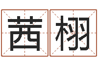 陈茜栩金融公司取名-生肖星座配对查询