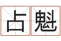 廖占魁逆天调命改命传奇-算八字合不合