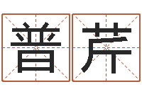 樊普芹经典姓名网-还受生钱年龙人每月运程